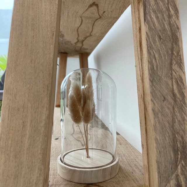 Dried grass under a glass dome on a wooden shelf
