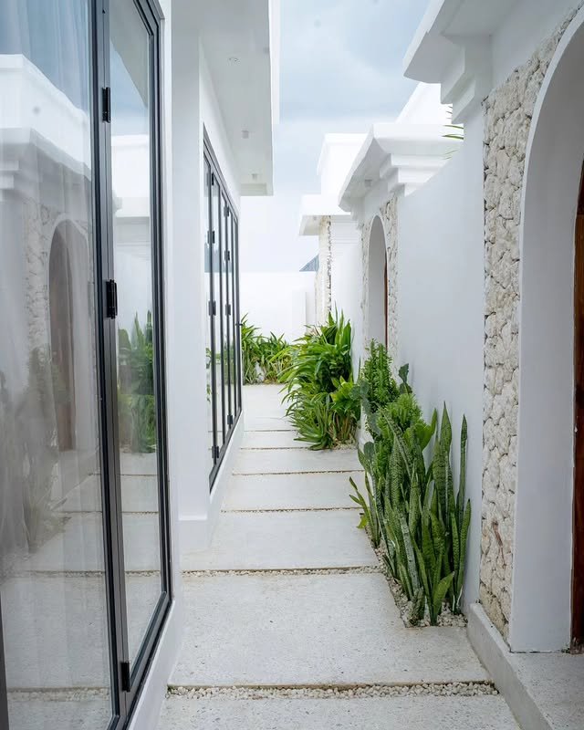 Coral stone walkway lined with tropical planting between the villas
